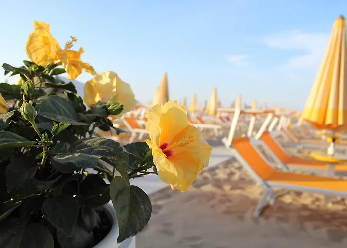 Hotel Villa Lieta Rimini